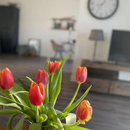 度假居 Beach54'damp 达普