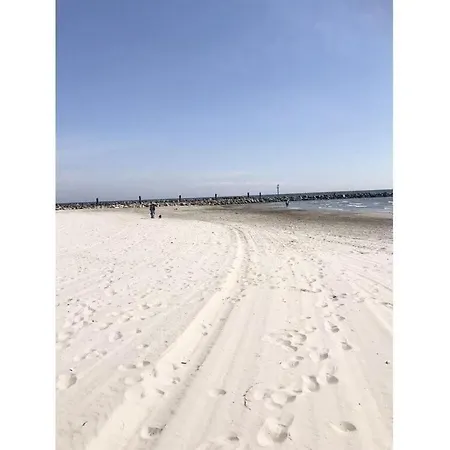 Beach54'damp * 达普