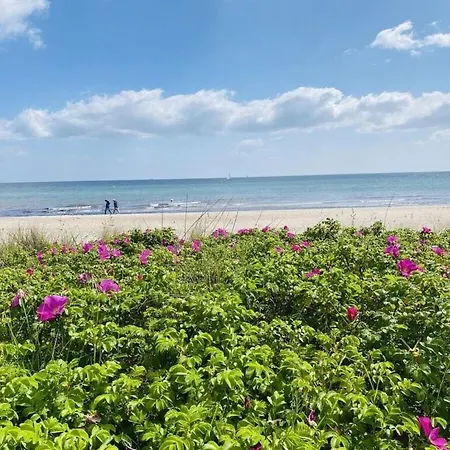 Beach54'damp * 达普