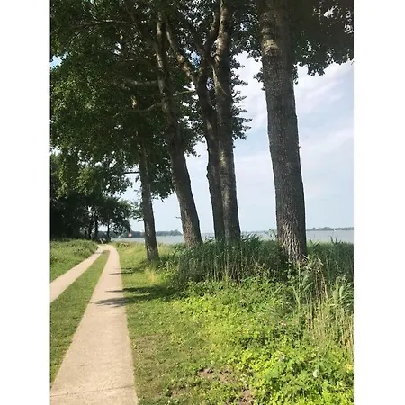Beach54'damp