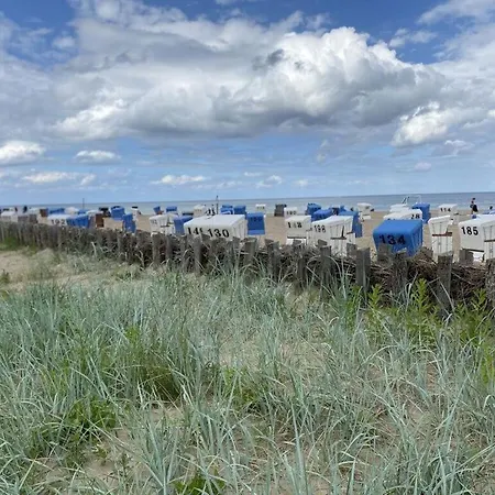 Beach54'damp * 达普