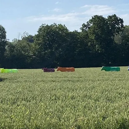 度假居 Beach54'damp