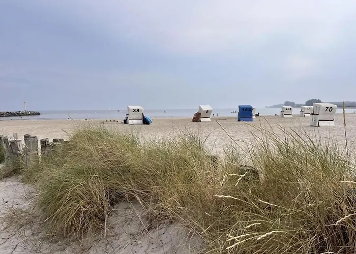 Casa de Férias Beach54'damp Damp